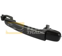 Maniglia esterna della porta SX/DX Per Peugeot 307 01-07,C2 2003-2010,C3 02-10