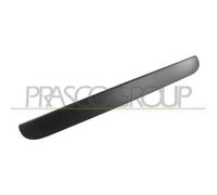 PRASCO DG0058341 Maniglia porta