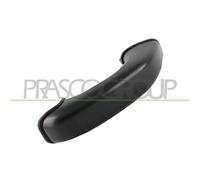 PRASCO HN8148303 Maniglia porta