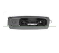 Maniglia Esterna Portellone Renault Kangoo Dal 2008 Al 2012 Rn9188301 8200497807