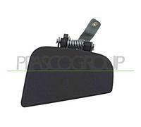 PRASCO DS2718102 Maniglia porta