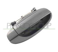 Maniglia Esterna Posteriore Destra Chevrolet/daewoo Kalos 2002/2006 Dx 96583053