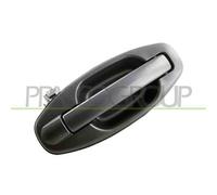 Maniglia Esterna Posteriore Destra Hyundai Santa Fe (sm) 2000-2003 Destro