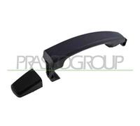 PRASCO DW7208017 Maniglia porta