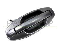 Maniglia Esterna Posteriore Destra Per Hyundai Santa Fe (sm) 2000-2003 Destro
