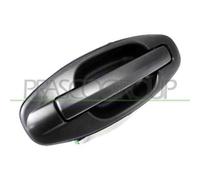 Maniglia Esterna Posteriore Sinistra Hyundai Santa Fe (sm) 2000-2003 Sx