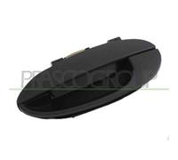 Maniglia Esterna Sportello Prasco DW3208102 per Daewoo
