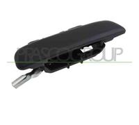 Maniglia Esterna Posteriore Sinistra Per Citroen Saxo Dal 1996 Al 1999