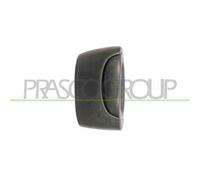 PRASCO DS9178102 Maniglia porta