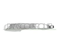 PRASCO DG0118115 Maniglia porta
