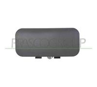 PRASCO FD9108302 Maniglia porta