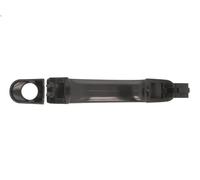Maniglia esterna sportello BLIC 6010-01-039401P per TOURAN (1T1, 1T2) 2 2003-201