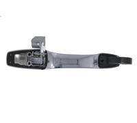 Maniglia esterna sportello BLIC 6010-55-015403P per DURANGO 3.6 2015-