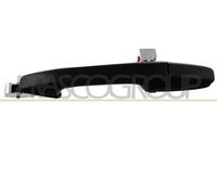 Maniglia esterna sportello Esterno per HONDA CIVIC