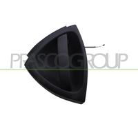 Maniglia esterna sportello ME3028001 PRASCO per SMART
