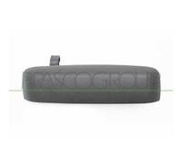 Maniglia Esterna Sportello Prasco FT3508002 per Fiat Lancia