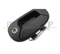 Maniglia Esterna Portellone Per Fiat Doblo' Dal 2000 Al 2005 Ft9088342 735331105