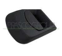 PRASCO FT9268002 Maniglia esterna sportello per IVECO DAILY III Autobus, DAILY I