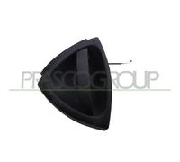Maniglia esterna sportello ME3028001 PRASCO per SMART