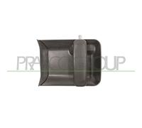 Maniglia Esterna Sportello Prasco PG9048103 per Citroën Peugeot