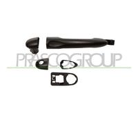 Maniglia Esterna Sportello Prasco RN0908213 per Mercedes Benz Renault
