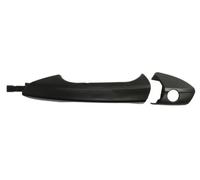 Maniglia Esterno 6010-02-053401P BLIC per MERCEDES-BENZ