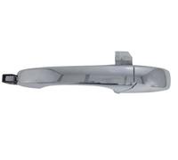 Maniglia Esterno 6010-55-015403P BLIC per JEEP DODGE