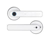 Maniglia intelligente per porta. Blocco Intellinte Con Controllo APP For Impronte Digitali Biometriche, Adatto For Serrature Elettriche Domestiche(Silver)