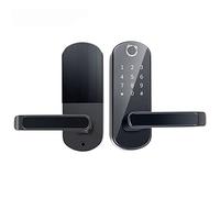 maniglia intelligente Serratura di accesso senza chiave, scheda IC, serratura automatica della porta, identificazione Bluetooth e biometrica, password virtuale, anti-peep