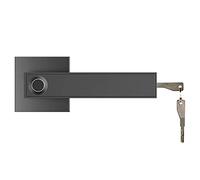 maniglia intelligente Serratura for porta con impronta digitale senza chiave, riconoscimento delle impronte digitali ad alta precisione, sblocca la entro 0,25 secondi, memorizza 32(Black)