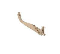 Maniglia interna Adatto per BMW Serie 5 G38 G30 2018-2023 Maniglia interna portiera Maniglione protettivo modificato Sostituzione del bracciolo Maniglia interna portiera(Beige Front Right)