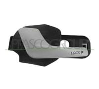 Maniglia Interna Anteriore Sinistra Fiat Doblo' 2000/2005 Lato Sx 735419986