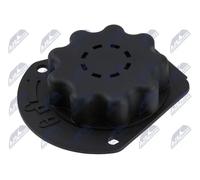 Maniglia interna porta Portellone posteriore veicolo EZC-FR-262 NTY per FORD