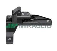 MIRAGLIO Maniglia portiera, Equipaggiamento interno 60/152