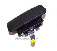 Maniglia Originale FAST FT94565 Per Ford