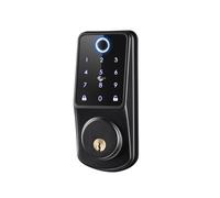 Maniglia per porta intelligente, Serratura Automatica For Porta, Wi-Fi, Password, Impronta Digitale, Ingresso Senza Chiave, Tastiera, Serratura Elettronica For Porta per casa, appartamento, hotel, uff