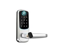 Maniglia per porta intelligente, Serratura Intelligente Con Maniglia, Tecnologia Biometrica, Funzione Di Memoria, Controllo Tramite APP per casa, appartamento, hotel, ufficio(Silver)