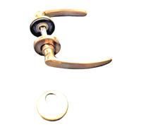 Maniglia per Porte Interne Coppia EVA Rosetta Foro Yale Ottone Oro Lucid GHIDINI