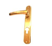 Maniglia per Porte Interne Coppia Placca Foro Yale Ottone Oro Satinato POGGI
