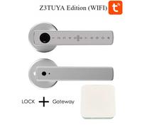 Maniglia per serratura intelligente con chiave per impronte digitali Serratura digitale per tastiera Serratura elettronica per ingresso chiave silver TT WIFI
