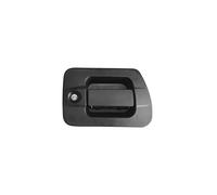 MANIGLIA PORTA DESTRA CON CHIAVE-IVECO-Eurocargo Tector 130E24/180E28