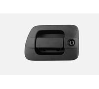 Maniglia Porta Originale Iveco Oe 504215019