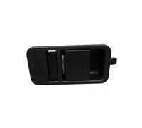 Maniglia Portiera Equipaggiamento Interno Fast FT94530 per Fiat Iveco