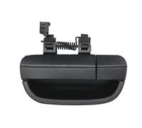 Maniglia portellone bagagliaio 6010-02-066417P BLIC