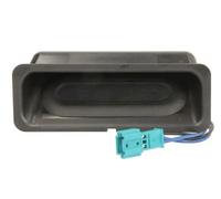 Maniglia del coperchio del bagagliaio BLIC 6010-05-011417P