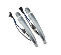 Maniglia Portiera Auto Per Per Koleos 2.0 2008-2024 Maniglia Esterna Porta Con Pulsante Anteriore O Posteriore Lato Guidatore O Passeggero Sinistro O Destro Maniglia Dello Sportell(2 pcs Front Pair)