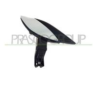 PRASCO FT5208601 Maniglia porta