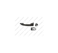Maniglia Esterna Anteriore Sinistra Nera Fiat Bravo 2007/2014 Lato Sx 735570108
