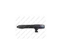 MANIGLIA PORTIERA LM218Q 72640S9A003