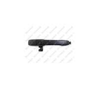 MANIGLIA PORTIERA LM219Q 72680S9A003
